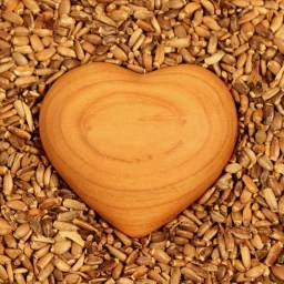 Episode 324: Mercy in the Local Church