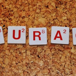 Episode 334: Courage!