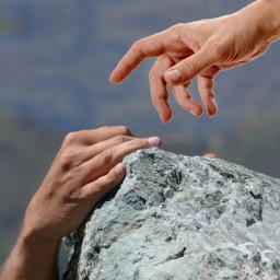 Episode 358: Flock, Encourage Your Shepherds!